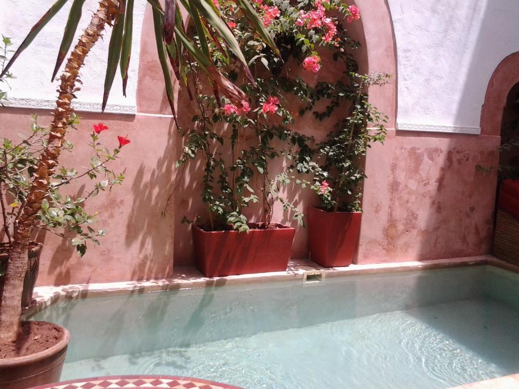 Ryad Dar Ganou Marrakesch Exterior foto