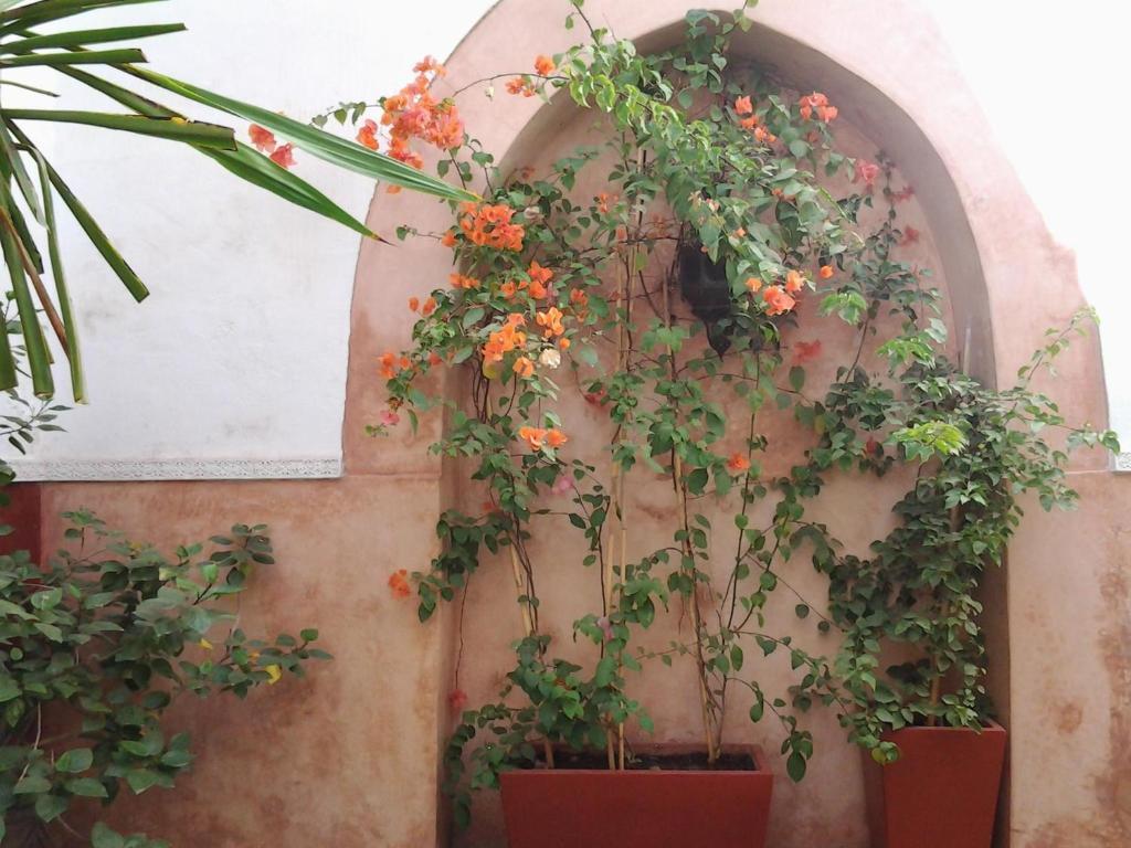 Ryad Dar Ganou Marrakesch Exterior foto
