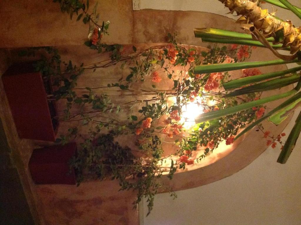 Ryad Dar Ganou Marrakesch Exterior foto